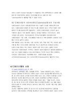 [전자상거래] 도메인분쟁-9