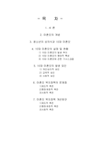 [사회문제론] 10대 미혼의 발생원인과 대처방안-2