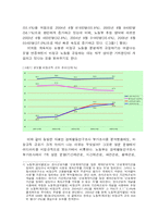 [노사관계론] 비정규직-5