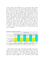 [노사관계론] 비정규직-6