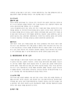 [국제경영] 현대자동차의 인도 진출-5