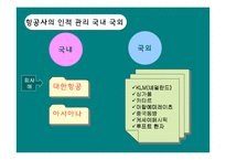 항공사 레포트-7