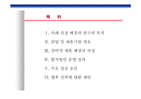 [경영전략] LG-Philips(LG필립스) LCD전략적 제휴사례 연구-3