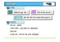 [국제경영] 엑스박스(xbox) 마케팅분석-12