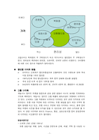 [국제기업전략] 신세계의 다각화 전략-7