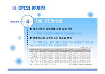 [인적자원관리] CPE(최초고용계약제)와 비정규직 비교 분석-5