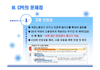 [인적자원관리] CPE(최초고용계약제)와 비정규직 비교 분석-8