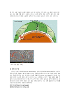 지진에 대해서 레포트-3
