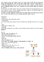 [운영체제] 방화벽,프록시 서버조사-6
