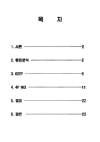 SM5 마케팅 보고서-2