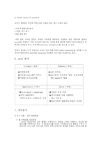 [벤처창업론]역경매 여행사-11