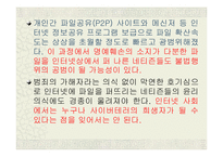 [사이버문화]사례를 통해 알아 본 사이버상의 인권침해-15