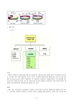 아이리버 분석 레포트-17