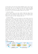 [국제경영론] 하나코비 락앤락 미국해외시장진출전략-8