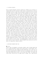 [마케팅] 메가패스의 이미지 강화를 위한 효과적인 광고전략-2