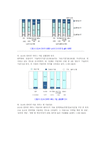 [마케팅] 메가패스의 이미지 강화를 위한 효과적인 광고전략-5
