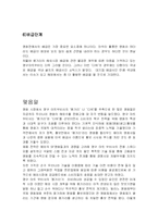 [국제경영] 영구아트무비의 글로벌 경영전략-8