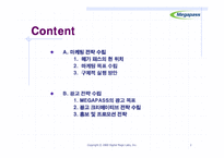 [마케팅] 메가패스의 이미지 강화를 위한 효과적인 광고전략-2
