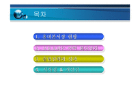 [기업경영] 모토로라의 슬림 전략(레이져,z)-2