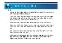 [기업경영] 모토로라의 슬림 전략(레이져,z)-15