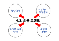 [마케팅] 미샤의 마케팅 전략 및 비젼-12