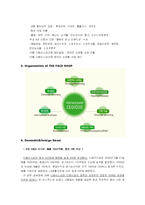 더페이스샵 마케팅전략-4