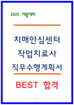 치매안심세터 작업치료사 직무수행계획서-1