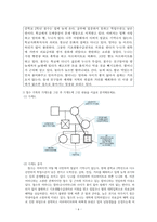 사회복지실천론A+)자신의 가계도와 생태도를 분석해보세요. 또한 예비사회복지사로서, 사회복지현장에서 어떻게 사회복지실천을 할 수 있는지 사례를 분석하여 실천목표와 계획을 정리하여 기술하세요.-6