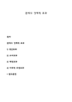 관세의 경제적 효과-1