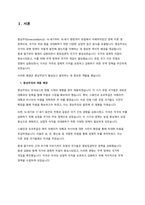REPORT 중상주의 무역의 태동과 전개과정 - 복사본-3