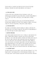 REPORT 중상주의 무역의 태동과 전개과정 - 복사본-6