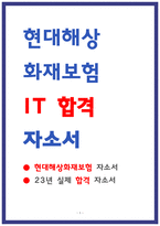 현대해상화재보험 IT 자소서-1