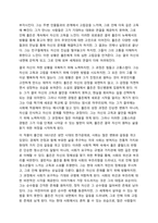 호밀밭의 파수꾼 독후감-3