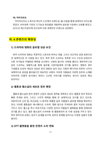 K컬처의 이해와 분석 그리고 미래-11