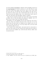 [영상론] 코미디 프로그램의 웃음 분석 - `현대생활백수`와 `형님뉴스`를 바탕으로-6
