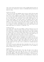 [현대사상] 현대사회에서의 페미니즘-4
