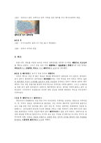 [서양 근현대사] 미국 남북전쟁(노예해방의 결과)-7