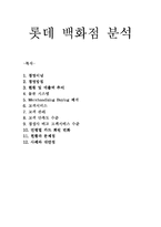 [유통경로론]롯데백화점 분석-1