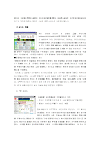 [이비즈마케팅]선영아 사랑해-마이클럽 마케팅 분석-10