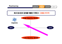 [전자상거래론]메가스터디 분석-12