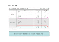 [프랑스 문화의 이해]프랑스 광고매체의 현황과 특성 연구-1