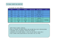 [프랑스 문화의 이해]프랑스 광고매체의 현황과 특성 연구-4