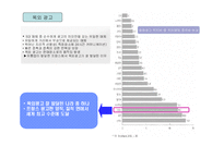 [프랑스 문화의 이해]프랑스 광고매체의 현황과 특성 연구-10