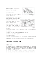 [국제관광론] 미국 관광정책론-20