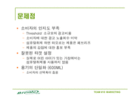 [마케팅] 페브리즈 경쟁자 `브레슬` 마케팅 분석 및 계획-11