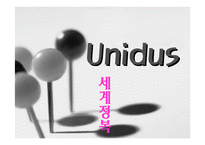 [국제경영](주) 유니더스의 성공사례-1