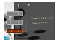 [국제경영](주) 유니더스의 성공사례-5