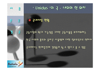 [국제경영](주) 유니더스의 성공사례-13