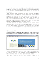[이비즈니스] 효과적인 E-Business 모델(인터넷비즈니스모델)을 개발한 기업들의 성공요인-6
