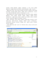 [이비즈니스] 효과적인 E-Business 모델(인터넷비즈니스모델)을 개발한 기업들의 성공요인-11